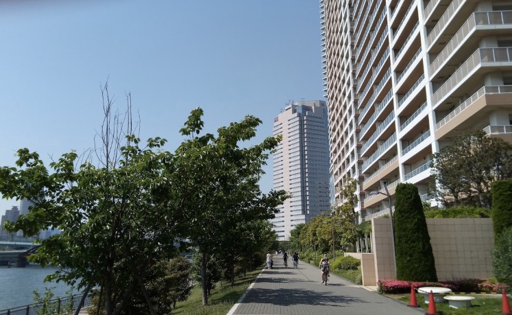 アーバンドックパークシティ豊洲横の歩道