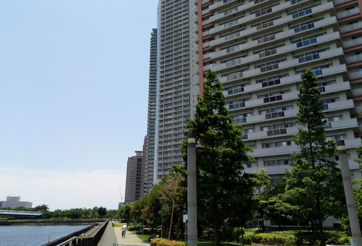 運河側の歩道