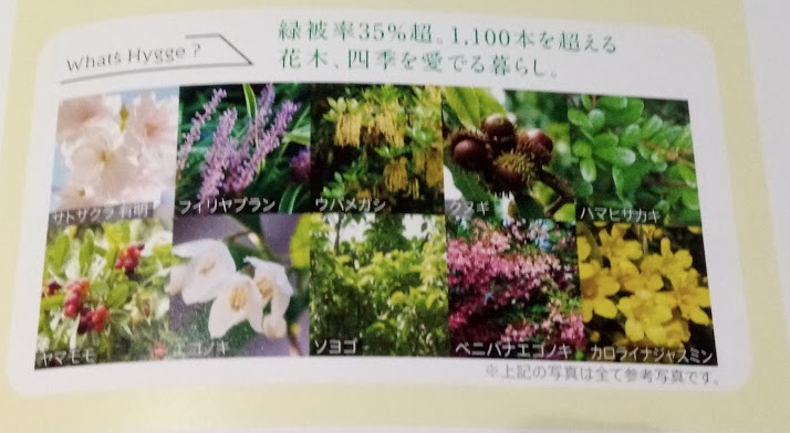 ガーデンに植えられる植物